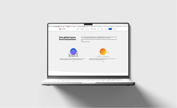 Photo of mercury project